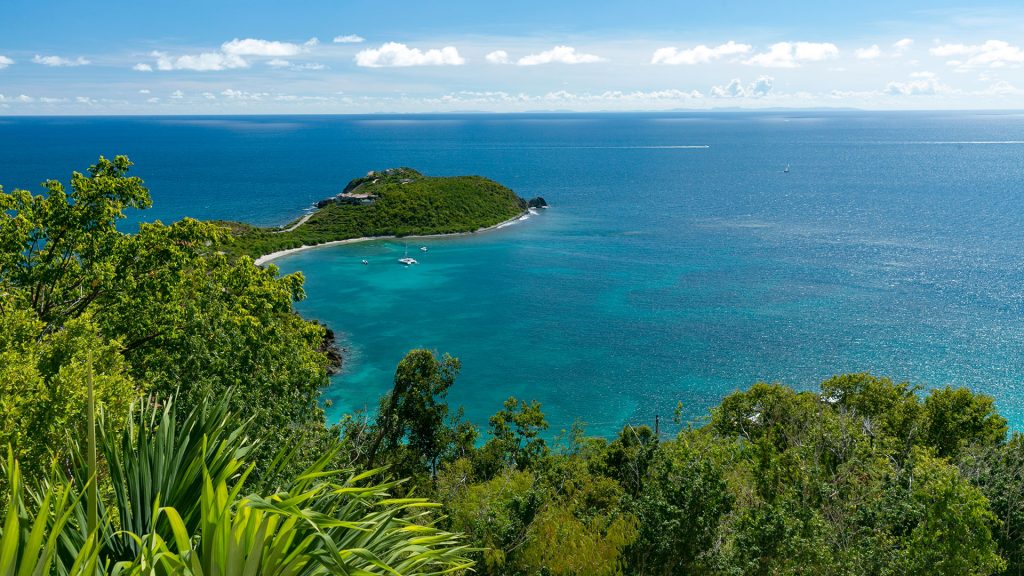 Out of the Blue